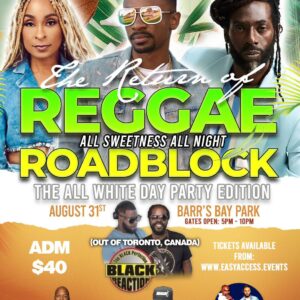 Return of Reggae Roadblock