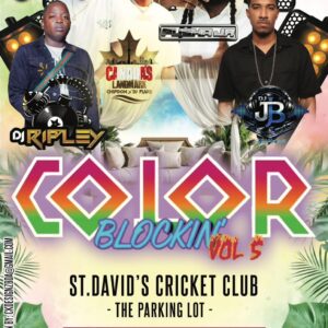 COLOR BLOCKIN' Vol. 5